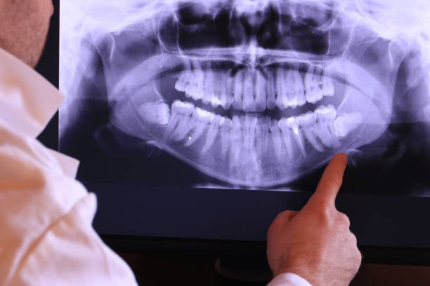 Best Emergency X-Rays and Diagnostics in Crockett, TX